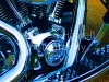 1500_8x10_color-2