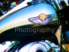 anniversary_edition_8x10_color-2