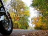 autumn_ride_8x10_2-2