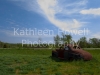 old_ford-2