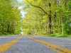 yellow_line_8x10-2