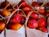 apples-2