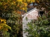 trees_white_house_8x10-2