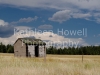 white_shed_8x10-2