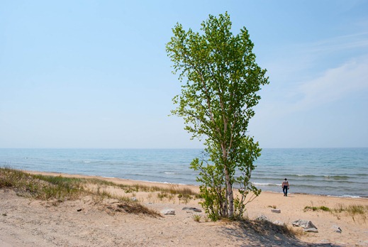 beach